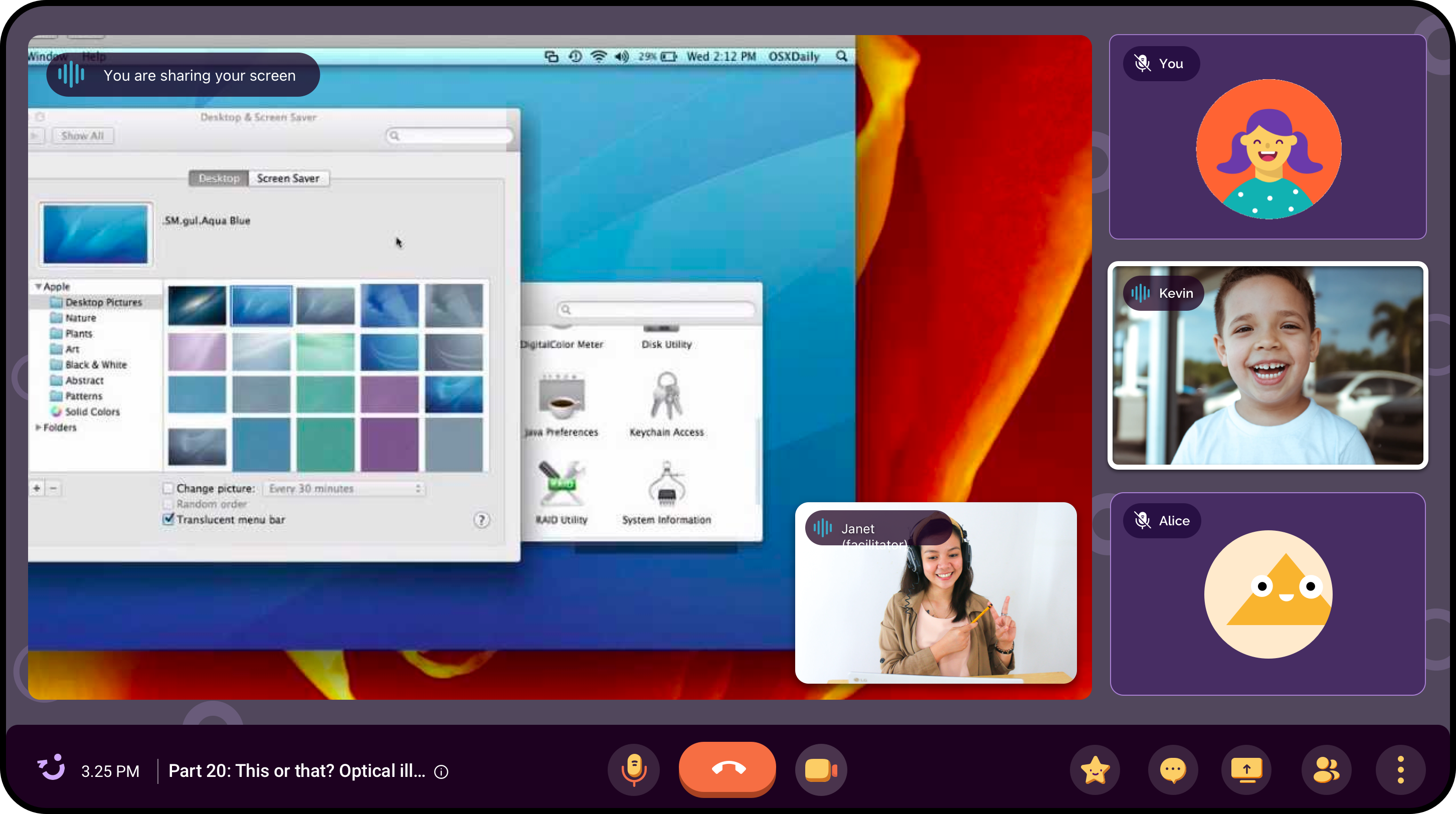 Screen sharing view
